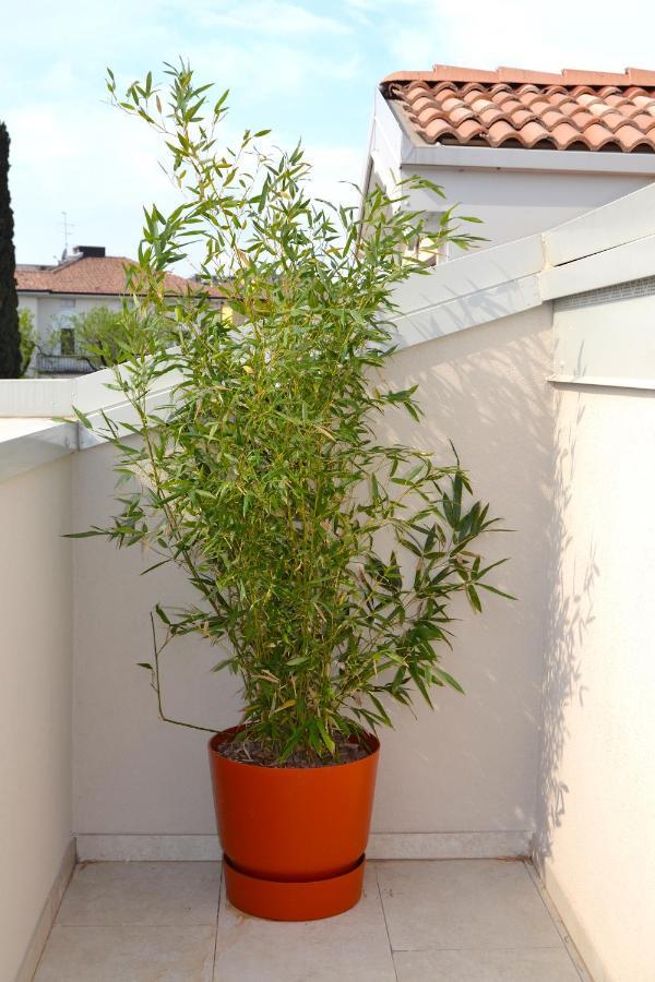 Zen Ar Holiday-Home Peschiera del Garda Bagian luar foto